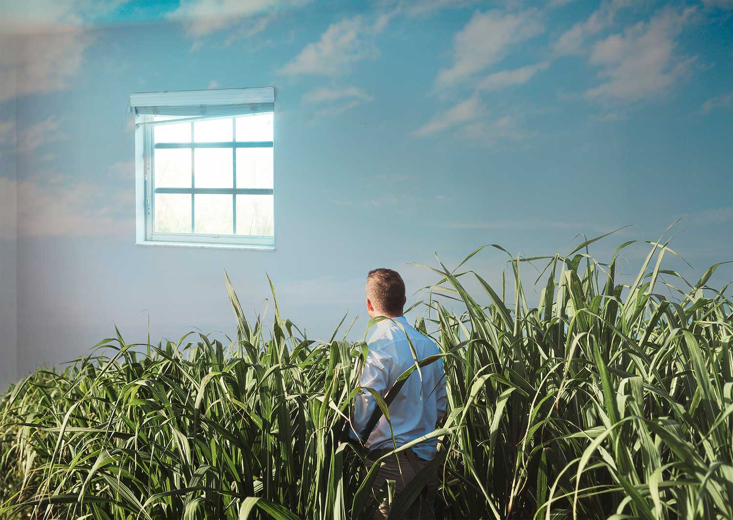 Person standing in tall grass beneath window in conceptual scene