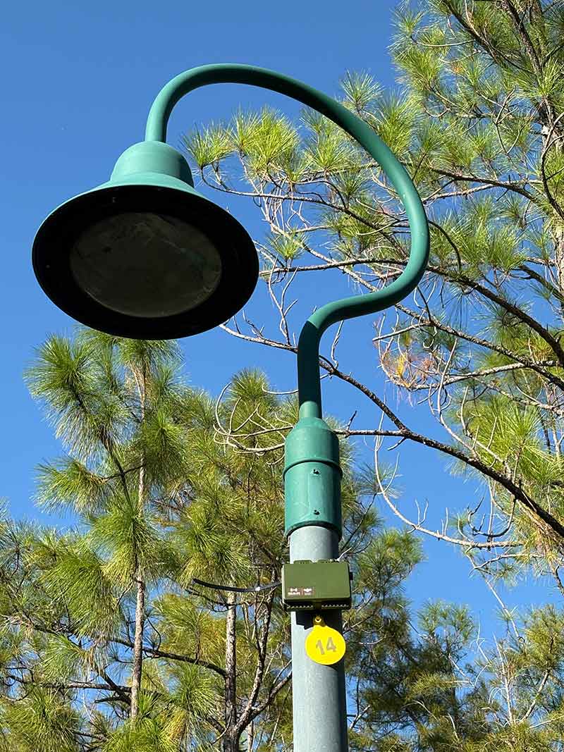 A curved outdoor lamppost has a small box with a yellow tag with the number 14 installed it