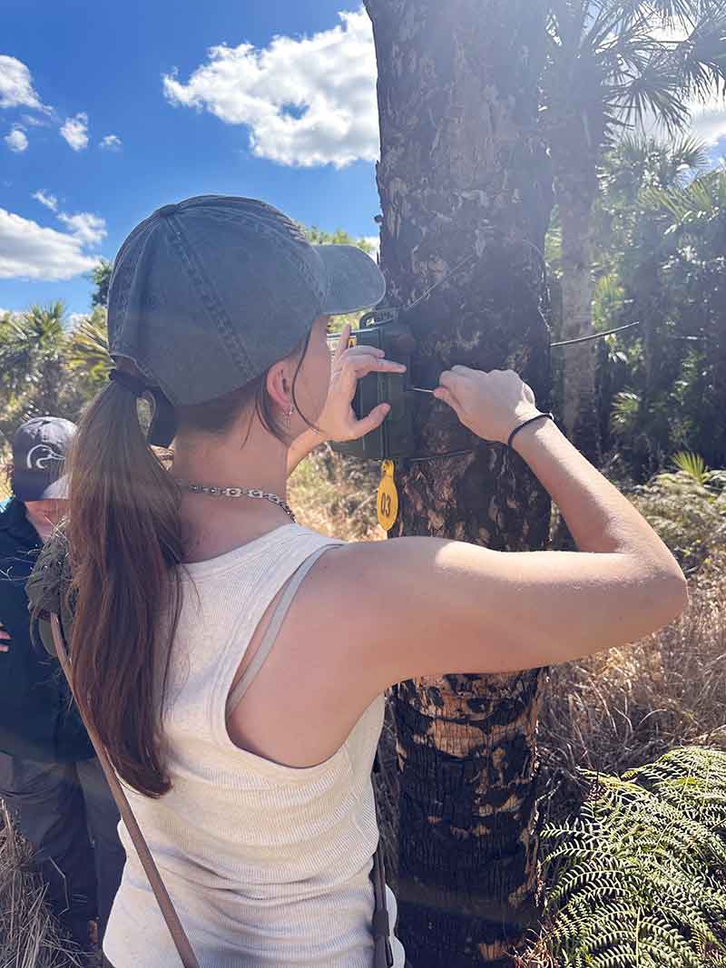 A young woman in a grey ball cap with her long ponytail sticking through the back and a white tank top stands back-to a tree trunk installing an acoustic monitoring box to the trunk, with a second person, other trees, a blue sky and white fluffy clouds in the background